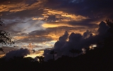 854_Avondlucht boven regenwoud, Cuyabeno NP